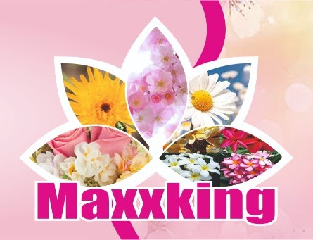 MAXXKING 100 GM